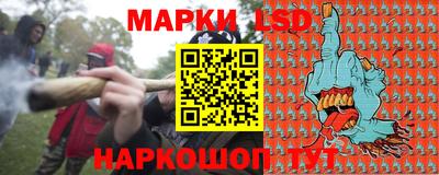 прущий лед Новозыбков