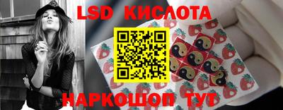 прущий лед Новозыбков