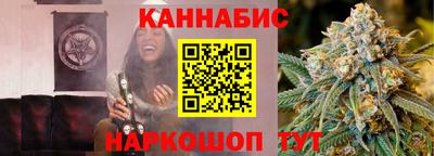 спиды Новодвинск