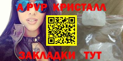спиды Новодвинск