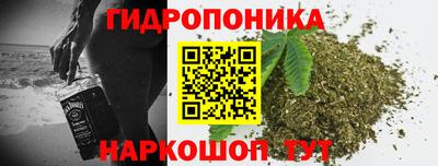 прущий лед Новозыбков