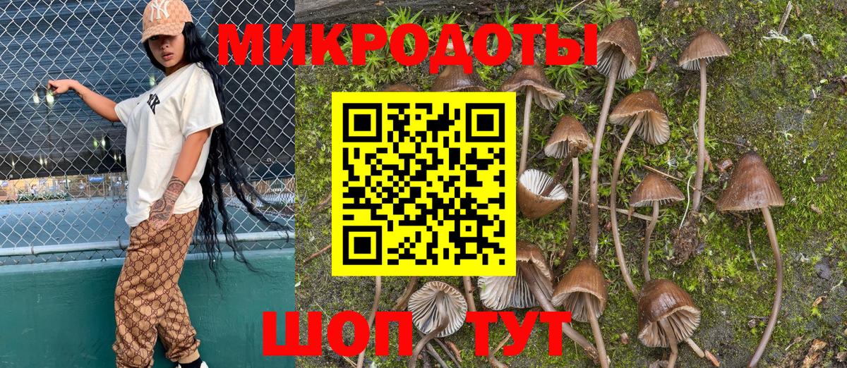 купить наркотики сайты  Вход с VPN  Чебоксары  Псилоцибиновые грибы Psilocybine cubensis 