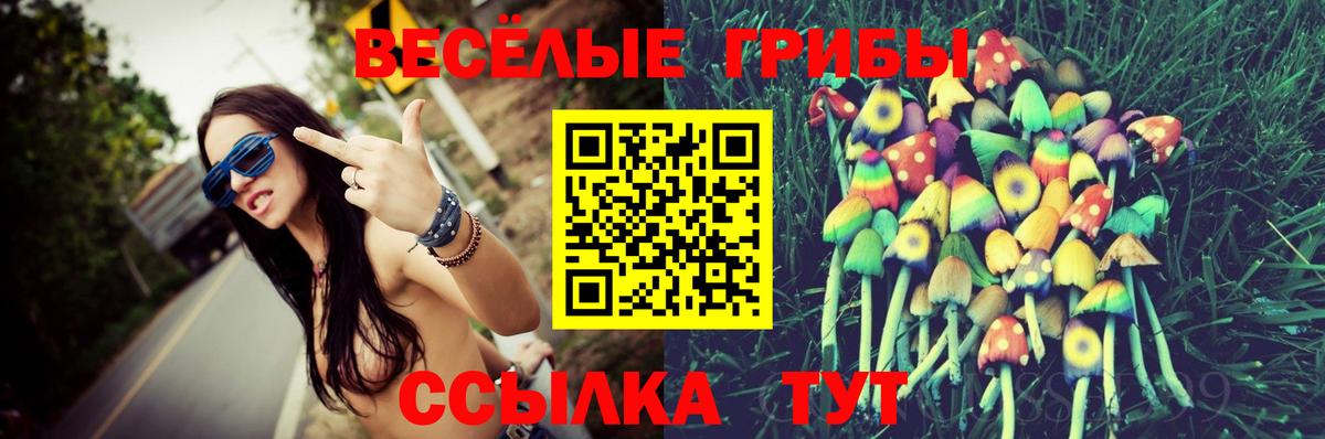 Псилоцибиновые грибы MAGIC MUSHROOMS Чебоксары